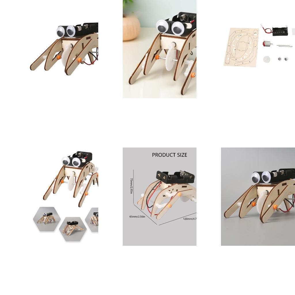 Science Project Physics - Mechanisch insectenfysica-experimentproject Leerspeelgoed voor kinderen Hands-on