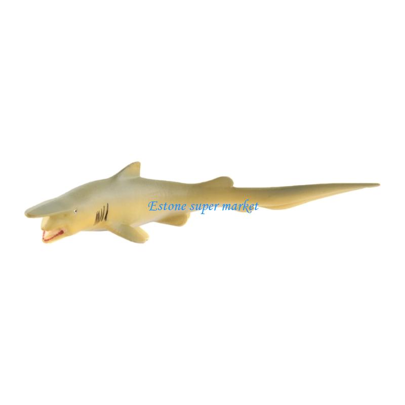 090B Moray Fish Model Realisti - Science Exhibition Models recensie en prijs