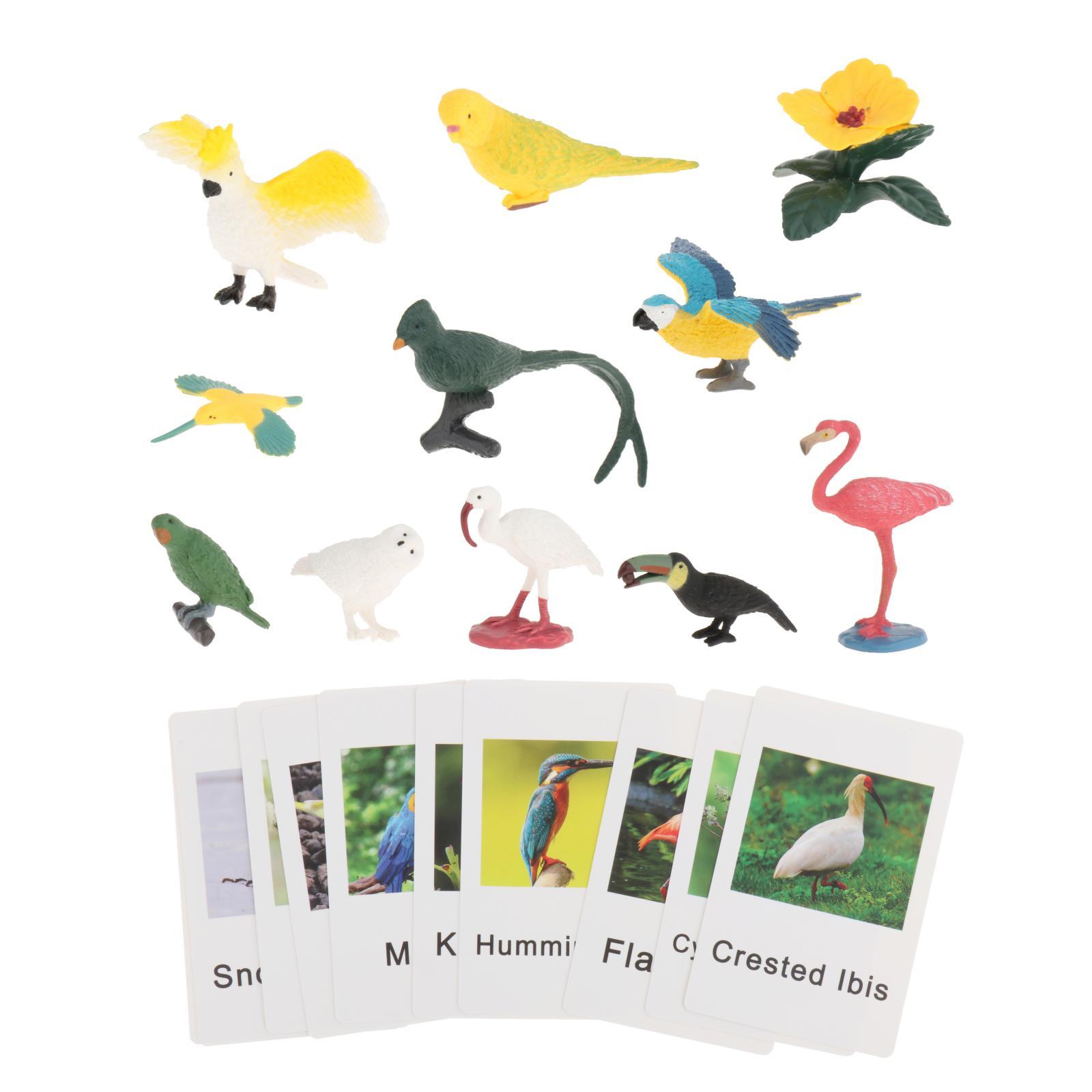 Montessori dierenfiguren met f - Science Nature recensie en prijs
