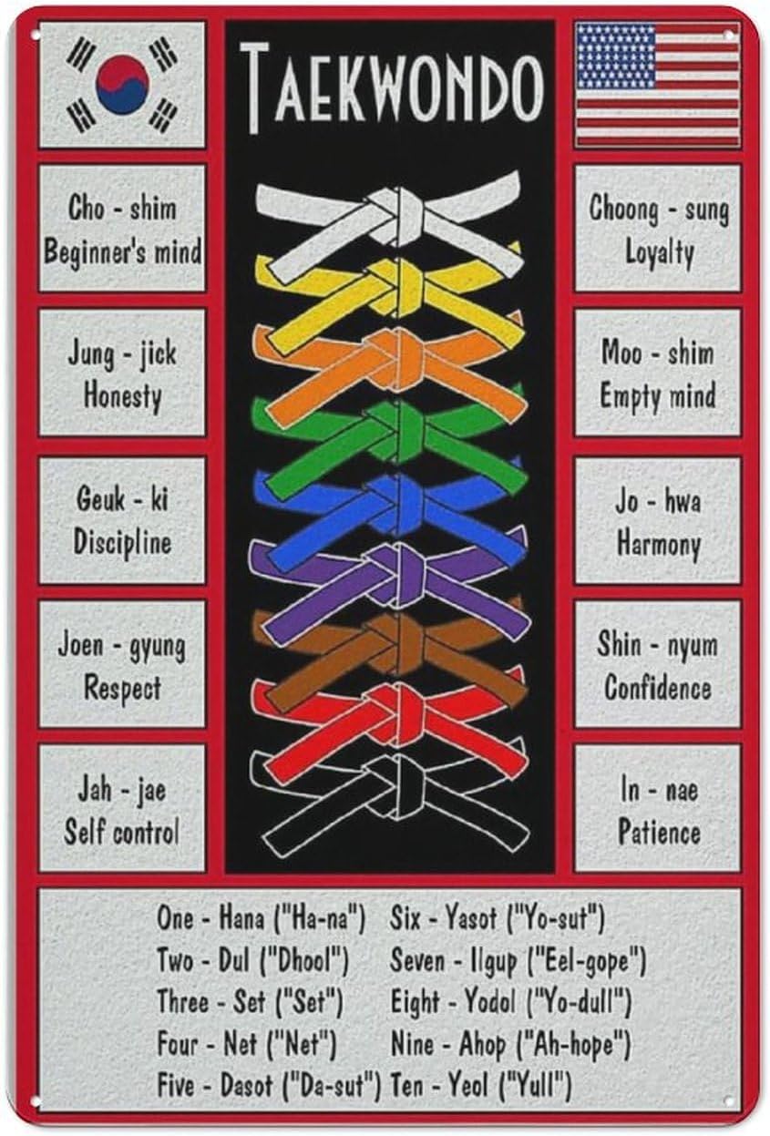 Taekwondo Knowledge Metal Sign - Science Hobbyist recensie en prijs
