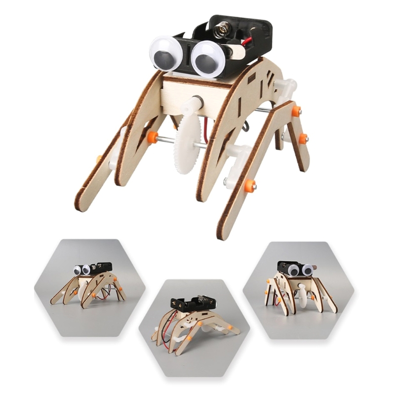 Mechanisch insectenfysica-expe - Science Project Physics recensie en prijs