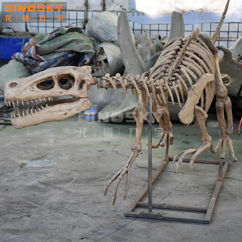 ATV&UTVResin Raptor Skelet Fos - Science Exhibition Models recensie en prijs