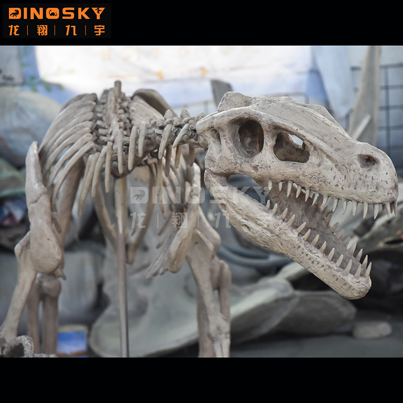 ATV&UTVResin Raptor Skelet Fos - Science Exhibition Models recensie en prijs